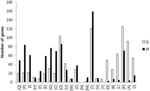 Graph of eggNOG analysis of the genes which were overexpressed over two-fold in queen and worker. The number of overexpressed genes in the queen and worker of each GO group are indicated as white and black, respectively.