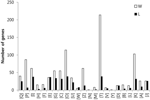 Graph of eggNOG anlaysis of the genes which were overexpressed over two-fold in worker and larva. The number of overexpressed genes in the worker and larva of each GO group are indicated as white and black, respectively.