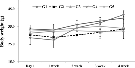 Change in body weight of db/db mice.