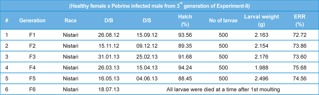 Secondary contamination of pebrine disease in successive generations in B.mori.