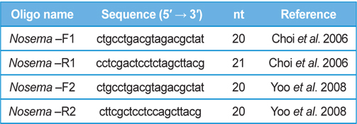Primers of Nosema specific for PCR detection