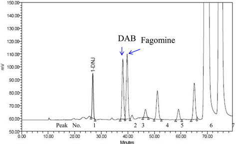 HPLC chromatogram of 1-deoxynojirimycin (1-DNJ), fagomine, and DAB of silkworm (Yeonnokjam) extract.