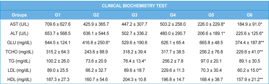 Blood biochemical analysis in db/db mice.