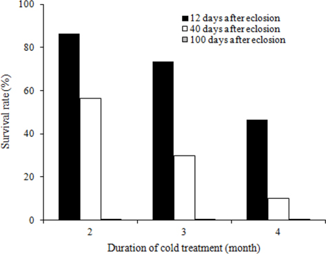 Survival rate of B. ignitus queens at different artificial hibernation chilling times. The cold treatment was initiated at 5℃ and was performed at over 80% humidity. Mating occurred 5 d after emergence. Thirty queens were allotted for the different chilling time regimes. There were significant differences between different timings of cold application and durations at p<0.0001 using the Chisquare test.