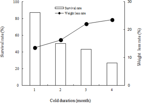 Survival rate and weight less rate of B. ignitus queens at different cold durations. Cold treatment was initiated 12 d after emergence at 5℃ and was performed at 80% humidity. Thirty queens were allotted for each of the chilling duration regimes. There were significant differences in the survival rates in the different chilling durations at a significance level of p < 0.001 using the Chi-squared test.