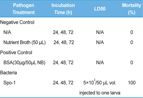 Intracoelomic injection with bacteria Spo-1 using larvae of Protaetia brevitarsis seulensis (Kolbe)