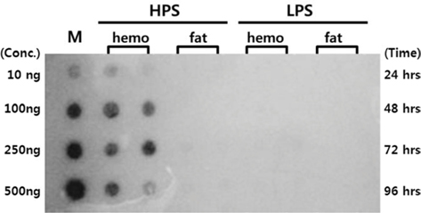 Viral DNA in tissues of AcNPV/BmA3-LUC infected silkworm larvae. Total DNA extracted at the indicated times of post infection (shown on the right) from tissues, hemocyte(hemo) and fatbody(fat), of silkworm larvae. HSP and LPS in the upper indicates the high and low permissive strain, respectiviely. The amount of 0.5ug DNA was dotted and hybridized with 32P-dCTP labeled luciferase DNA. Dots on the first lane, M, indicated luciferase DNA (amounts are shown on the left) used as a standard.