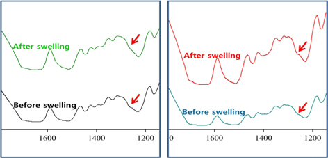 FT-IR spectra of silk beads (a) and silk-BSA beads (b).