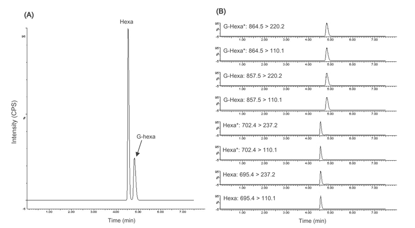 Typical TIC (A) and MRM (B) scans of 5 μM Hexa and G-Hexa standard mixtures.