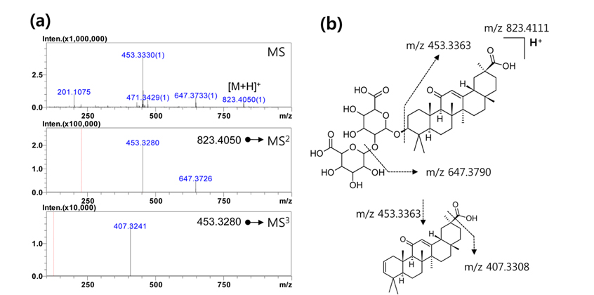 Representative (a) MS/MS spectra and (b) fragmentation mechanism of glycyrrhizin in methanol extract.