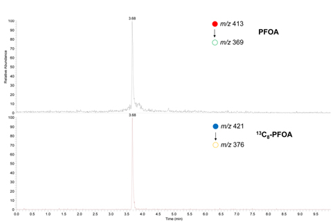 SRM chromatograms of 20 ng/mL of PFOA and 10 ng/mL of 13C8-PFOA standard solutions obtained using optimized LC-MS/MS condition.