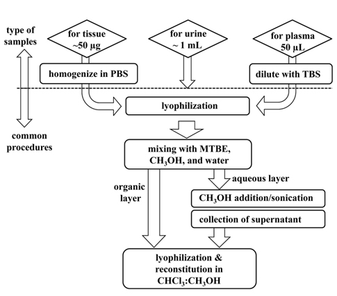 Lipid extraction procedures for LC-ESI-MSn analysis.