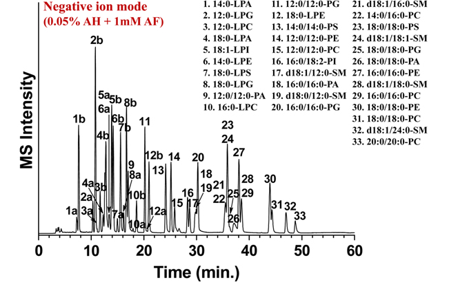 Base peak chromatograms of 33 PL standard mixtures from nLC-ESI-MS in negative ion mode. Peak numbers marked with a and b represent the regioisomers. Permission to reproduce obtained from the publisher of ref. 32.