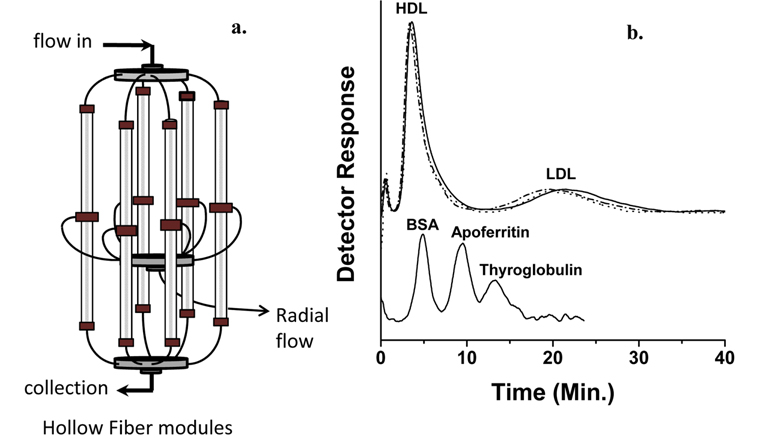 a) Configuration of multiplexed hollow fiber flow field-flow fractionation (MxHF5) and b) fractograms of MxHF5 separation of HDL and LDL particles from 50 μL of human plasma (stained with SBB) detected at 600 nm (up), and b) three proteins standards (15 μg each) at 280 nm (bottom). For both runs, the flow rate condition was =0.8/2.2 mL/min. Panel b reproduced with permission from the publisher of ref. 14.