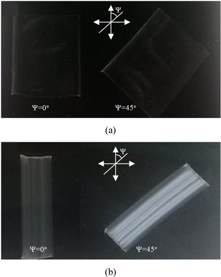 Fabricated samples: (a) isotropy of the sample with 100 vol% PMP and (b) birefringence of the sample with 30 vol% Tritan. The arrows indicate the directions of the polarizers.