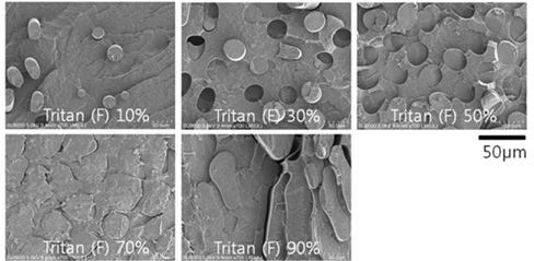 Scanning electron micrographs of the proposed diffuser sheets consisting of different amounts of Tritan and PMP.