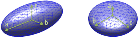 Prolate (left, a>b=c) and oblate (right, a<b=c) ellipsoids.