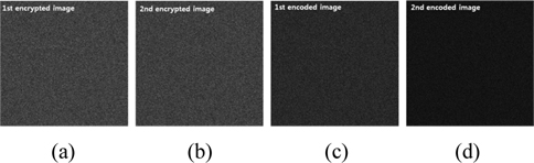 Simulation results for encryption by DRPE using orthogonal encoding for two images: (a) the first and (b) the second encrypted images, and (c) the first and (d) the second encoded images.