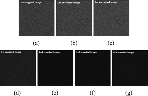 Simulation results for encryption by DRPE using orthogonal encoding for three images: (a) the first, (b) the second, and (c) the third encrypted images, and (d) the first, (e) the second, (f) the third, and (g) the fourth encoded images.