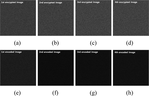 Simulation results for encryption by DRPE using orthogonal encoding for four images: (a) the first, (b) the second, (c) the third, and (d) the fourth encrypted images, and (e) the first, (f) the second, (g) the third, and (h) the fourth encoded images.