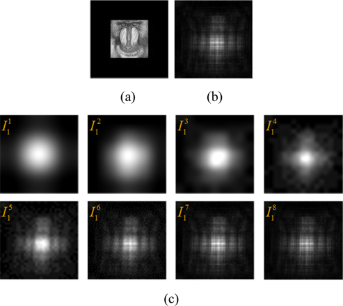 Example of the resampling of an intensity image: (a) Amplitude image of the object used in the numerical simulation, (b) the first captured intensity image and (c) resampled images.