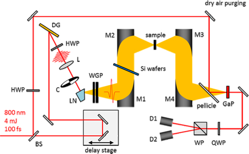 Experimental setup for single-cycle THz pulse generation by tilted pulse-front excitation. BS: beam splitter, HWP: half-wave plate, DG: diffraction grating, L: convex lens, C: optical chopper, LN: 1.3-mol% MgO-doped prismcut stoichiometric LiNbO3 crystal, WGP: wire grid polarizers, M1-M4: metal-coated off-axis parabolic mirrors, QWP: quarter-wave plate, WP: Wollaston prism, D1 & D2: photodetectors.