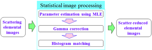 Statistical image processing for the recorded elemental images.