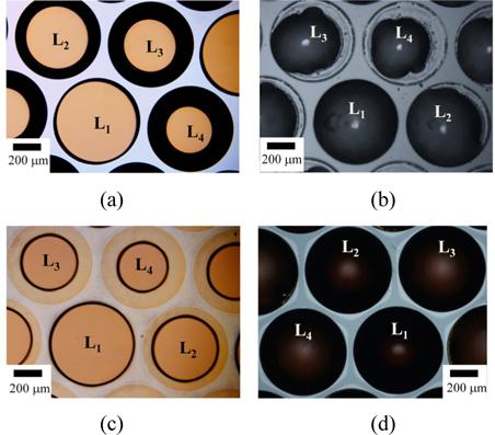 Reflective optical microscopic images of the photoresist structure: (a) The hexagonally arrayed cylindrical structure obtained via the complete developing process, and (b) its thermally reflowed photoresist structure. (c) The hexagonally arrayed double cylindrical structure obtained via the partial developing process, and (d) its thermally reflowed photoresist structure.
