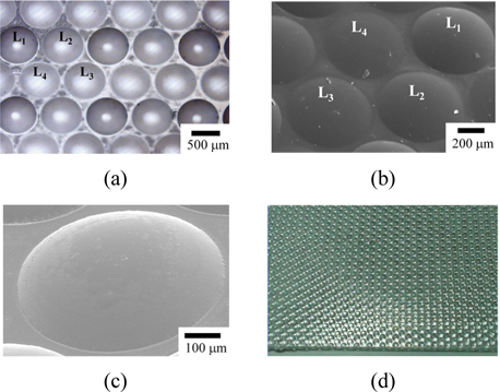 (a) Reflective optical microscopic image of the replicated PDMS mold with four different concave radii of curvatures. (b) and (c) are the SEM images of the multi-focusing MLA replicated by using the UV curable resin. (d) Photograph of the multi-focusing MLA.