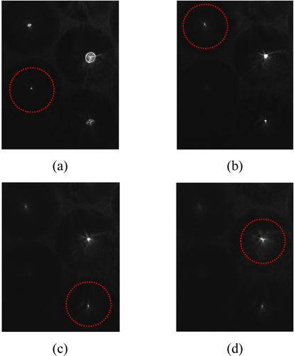 CCD images of the focused beam patterns measured at the CCD positions of (a) f ′=402.1 mm, (b) f ′=412.3 mm, (c) f ′=440.6 mm, and (d) f ′=504.5 mm, which show that the incident beam is focused by (a) the L1 elemental lens, (b) the L2 elemental lens, (c) the L3 elemental lens, and (d) the L4 elemental lens.