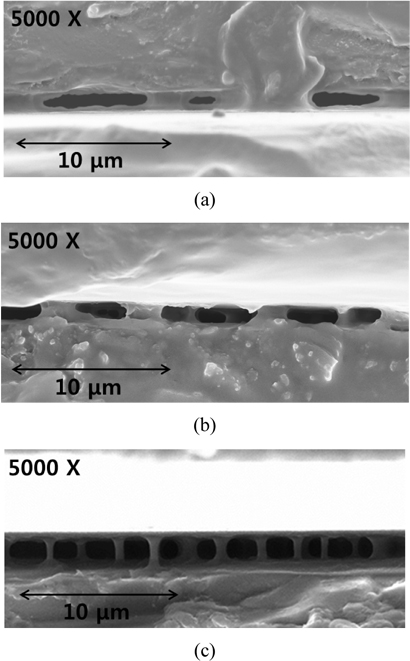 SEM images of the cross section of the VA cells polymer-networked at temperatures of (a) 60℃, (b) 20℃, and (c) ？20℃.