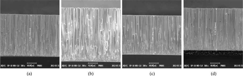 SEM images of cross section of the CsI:Tl films fabricated on different substrates: (a) bare glass, (b) glass coated with aluminum (Al) reflective layer, (c) glass coated with chromium (Cr) reflective layer, and (d) glass coated with titanium dioxid e (TiO2) reflective layer.