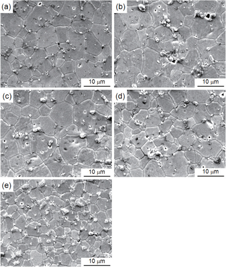 SEM micrograph of the varistor samples for different erbium amounts: (a) 0.0 mol%, (b) 0.25 mol%, (c) 0.5 mol%, (d) 1.0 mol%, and (e) 2.0 mol%.