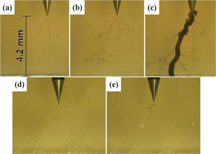 Morphology of electrical tree, corresponding to photos (a)- (e), was collected during HV (10 kV/4.2 mm, 500 Hz), applied at 30℃, for (a) 1,982 min, (b) 2,899 min, and (c) 2,998 min, in the epoxy/PG system; and (d) 652 min, and (e) 5,030 min, in the epoxy/PG/nanosilicate (1.5 wt%) system.