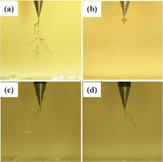 Morphology of electrical treeing for the epoxy/PG and epoxy/ PG/nanosilicate (1.5 wt%) systems, tested in the constant electric field of 10 kV/4.2 mm, with different electric field frequency: at 60 Hz in the epoxy/PG system for (a) 3,650 min, and (b) for 4,050 min; and at (c) 500 Hz for 5,030 min in the epoxy/PG system, and at (d) 1,000 Hz for 5,030 min, in the epoxy/PG/ nanosilicate (1.5 wt%) system.