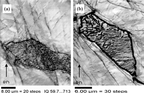 IQ map of the dual phase steel and ferrite/pearlite steel after 30% cold rolling: (a) martensite island and (b) pearlite island.