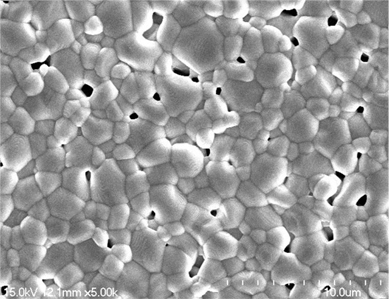 The SEM image of the Ag(Ta0.8Nb0.2)O3 ceramics sintered at 1,140℃.