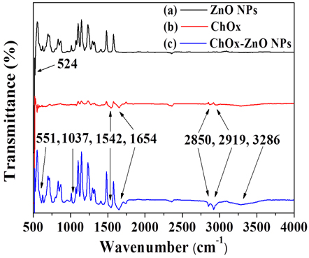 FT-IR spectra of films made of (a) ZnO NPs, (b) ChOx, and (c) the mixture of ChOx and ZnO NPs.