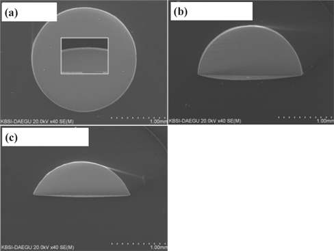 SEM micrographs of PV ribbon with different cross-section shapes after melt plating; (a) circle, (b) semi-circle, and (c) semiellipse.