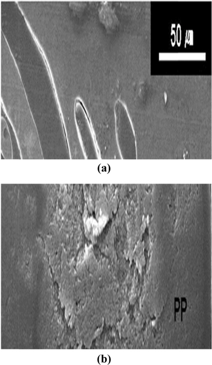 Scanning electron microscopey images of microtome section of: (a) PP-PVDF-MWCNT blend, (b) MWCNT selective localized at PP phase in PP-PVDF-MWCNT blend. PP: polypropylene, PVDF: poly(vinylidene fluoride), MWCNT: multi-walled carbon nanotube.
