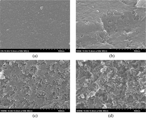 Scanning electron microscopy images of the phenol-based carbons before and after activation: (a) CN; (b) 5SNK; (c) 15SNK; (d) 30SNK.