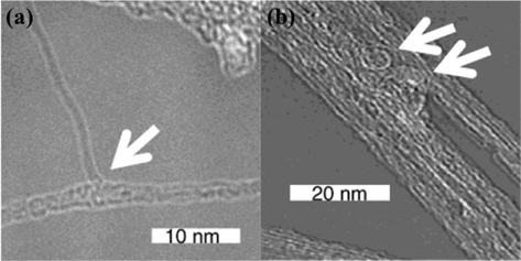 Transmission electron microscope images of vertically aligned carbon nanotubes after microwave treatment. (a) Fused nanotubes and (b) looped nanotubes after microwave irradiation [6]. Reprinted with permission from [6]. Copyright ⓒ 2003, American Chemical Society.
