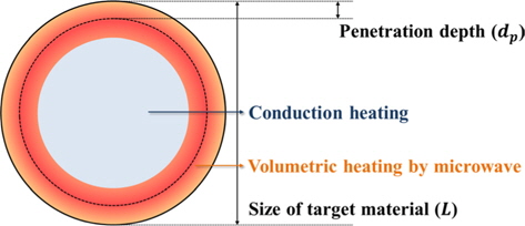 Schematic illustration of microwave heating phenomenon when the size of target material is much larger than the microwave penetration depth.