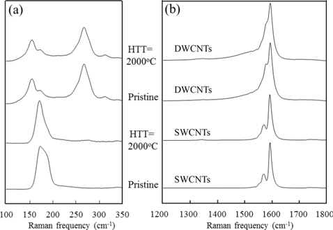 (a) Low-frequency and (b) high-frequency Raman spectra for asgrown and thermally treated single walled carbon nanotubes (SWCNTs) and double walled CNTs (DWCNTs). Reprinted from Kim et al. [10] with permission from Wiley-VCH.
