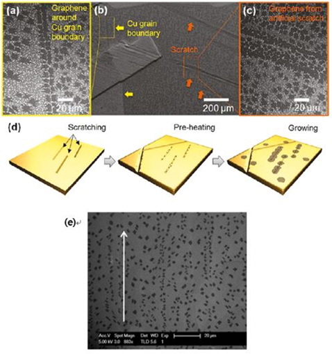(a-c) Scanning electron microscope (SEM) images showing graphene preferentially nucleating along the Cu grain boundary and an intentionally introduced scratch mark. (d) Depiction of graphene nucleating at the scratch mark shown in Figs. 5b and  c. Reprinted (adapted) with permission from [43]. Copyright ⓒ 2011, American Chemical Society. (e) SEM image showing graphene preferentially nucleating along the rolling marks of Cu; the white arrow indicates the direction of the rolling marks. Reprinted with permission from [42]. Copyright ⓒ 2011, Elsevier.