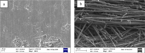 Scanning electron microscope micrographs of the compacts (a) OE-10 and (b) OE-11.