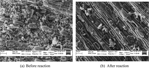 Scanning electron microscopy image obtained before and after the reaction of the adsorbent at magnification of 1.39 KX .