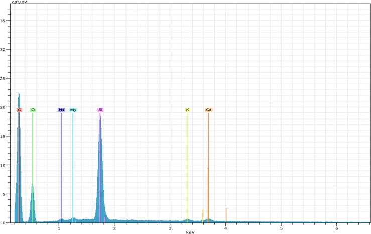 Spectra obtained by energy dispersive X-ray spectroscopy of lemon grass waste ash.