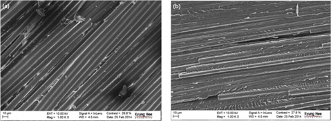 Scanning electron microscope images of fracture surfaces of basalt skin-carbon core and carbon skin-basalt core composites.