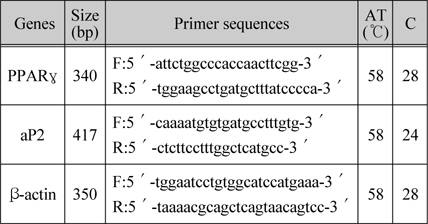 Primer sequences와 PCR 조건
